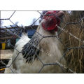 Hot Sale 1/2′′ Chicken Wire